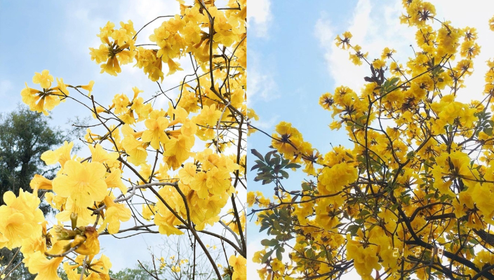 情侶好去處-室外、室內拍拖好去處-欣澳海濱長廊